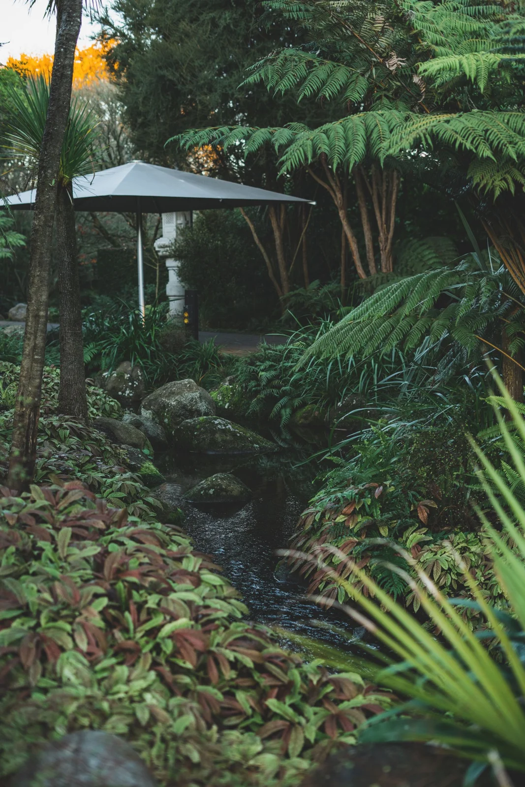 Property maintenance inspiration photographed in New Zealand